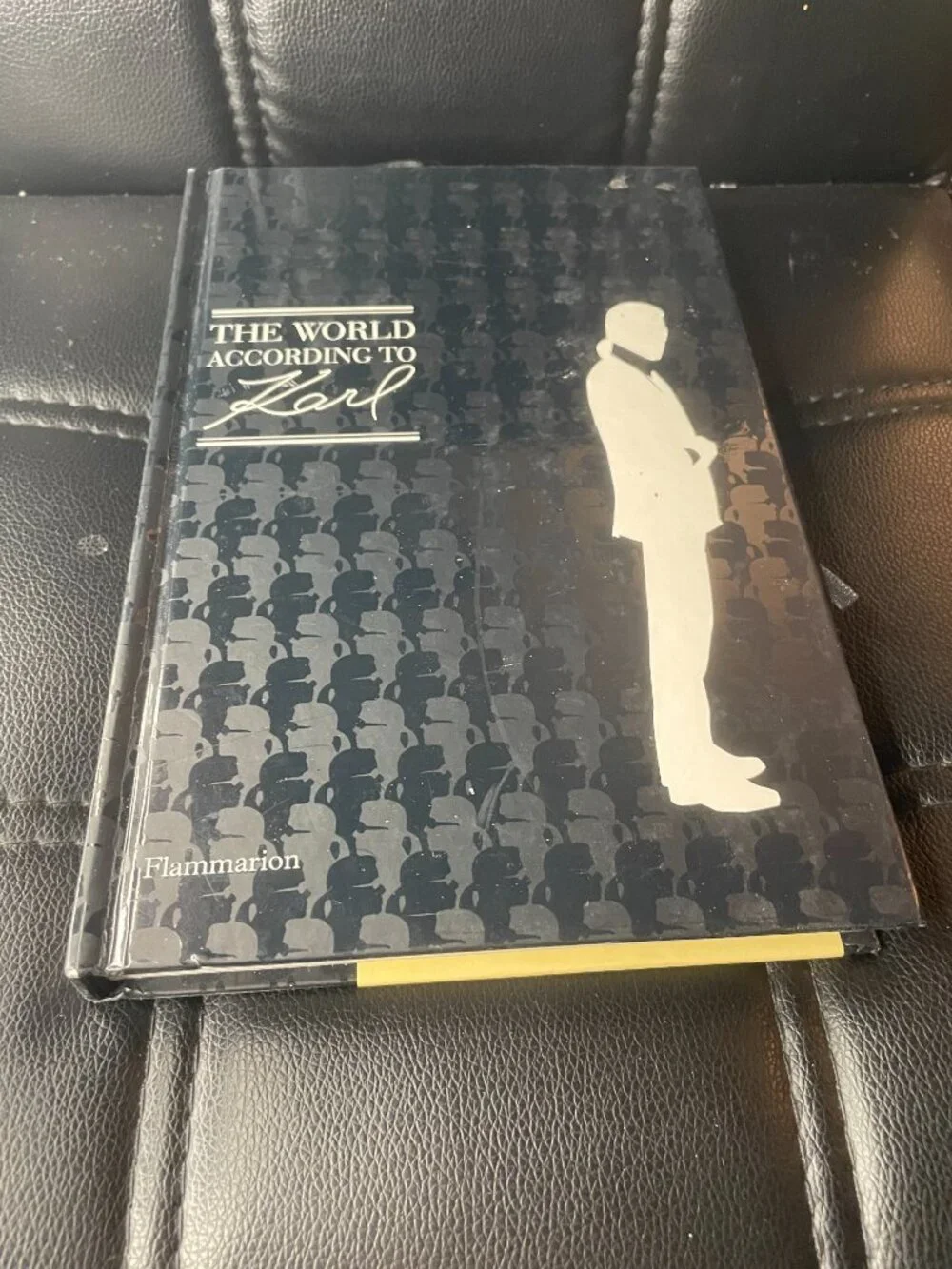 The World According to Karl Hardcover